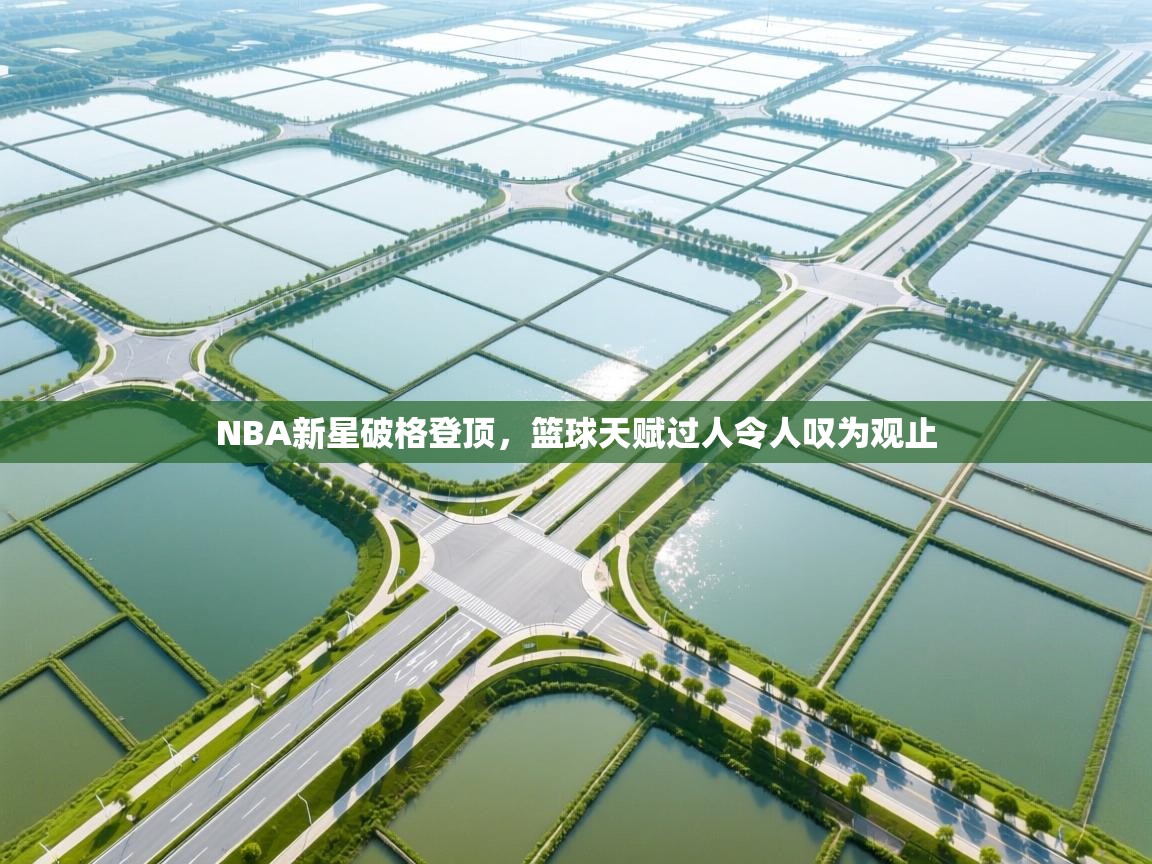 云开体育官网登录入口-NBA新星破格登顶,篮球天赋过人令人叹为观止 第3张