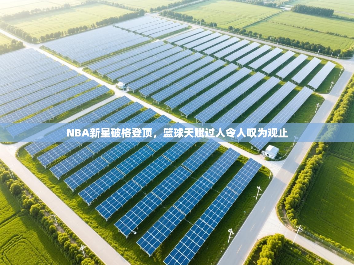 云开体育官网登录入口-NBA新星破格登顶,篮球天赋过人令人叹为观止 第4张