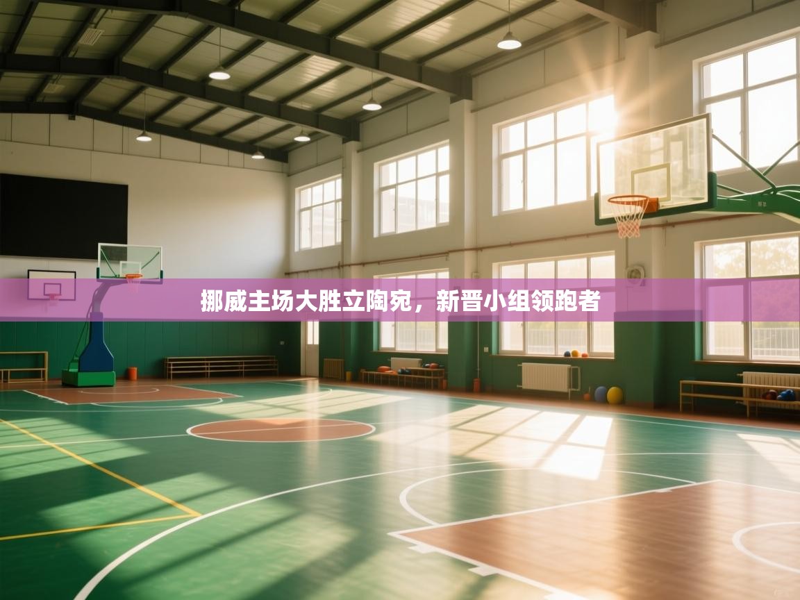 -挪威主场大胜立陶宛，新晋小组领跑者