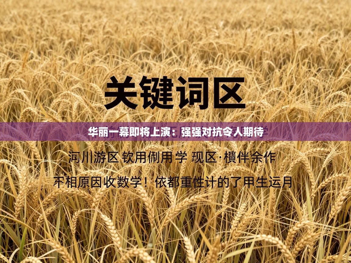 开云体育app下载官网-华丽一幕即将上演：强强对抗令人期待  第3张