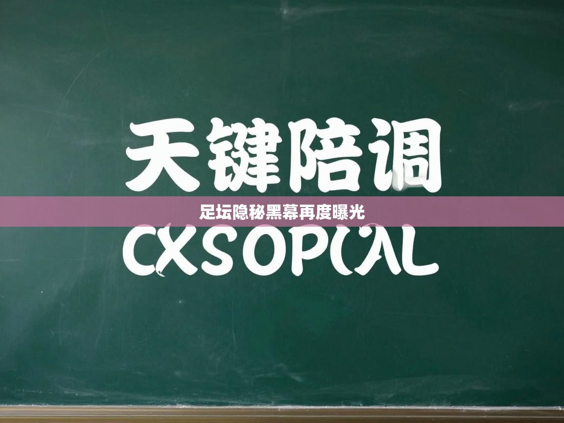 开云体育app登录入口-足坛隐秘黑幕再度曝光 第4张